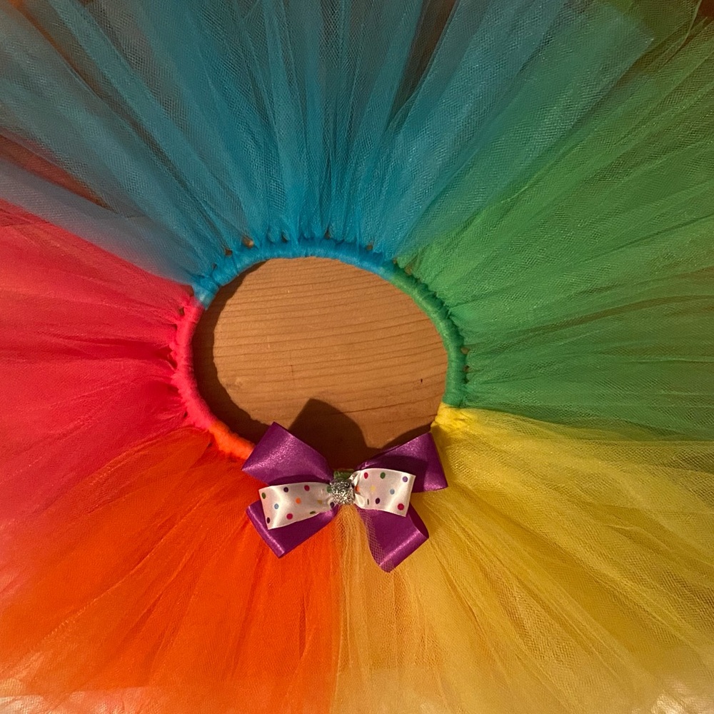 Handmade TuTu Skirt • 2T-4T